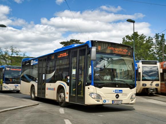 Citybusse Baden